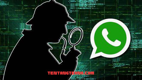 Google Spy WhatsApp Apa yang Harus Anda Ketahui